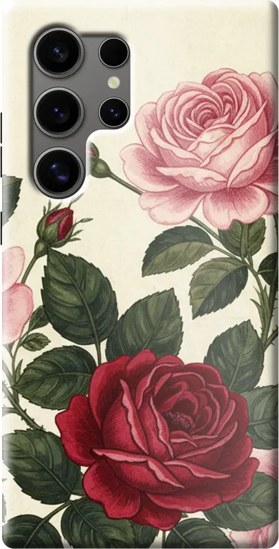 Case on the Samsung Galaxy S24 Ultra