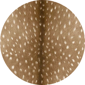 Test 1