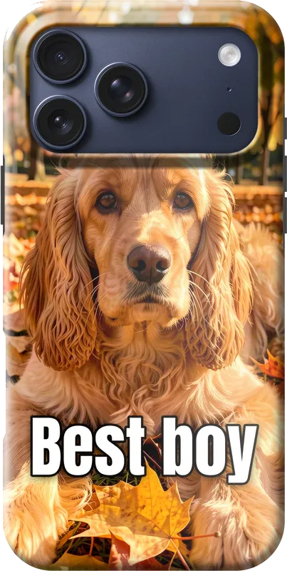 Cocker spaniel, kept as a photo, on an iPhone 18 Pro Max case